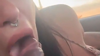 Melissa Lisboa, A Skilled Sexual Partner, Gives A Blowjob And Produces Milk While Operating A Vehicle